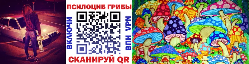 Псилоцибиновые грибы мухоморы  Сегежа 