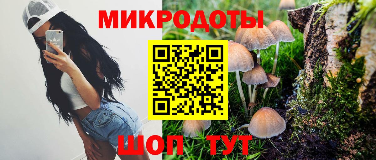 Галлюциногенные грибы Psilocybine cubensis  где продают   Сегежа  Вход с VPN 
